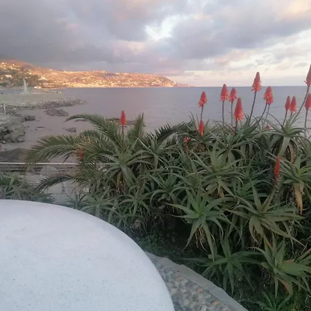 Con Terrazza Vista Panoramica Séjour chez l'habitant Alassio
