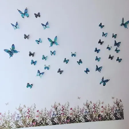 Séjour chez l'habitant Con Terrazza Vista Panoramica